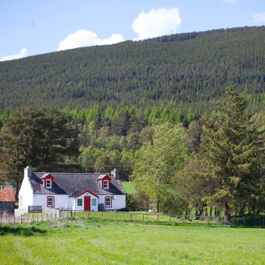 The Croft Cottage - Near 阿维莫尔 外观 照片